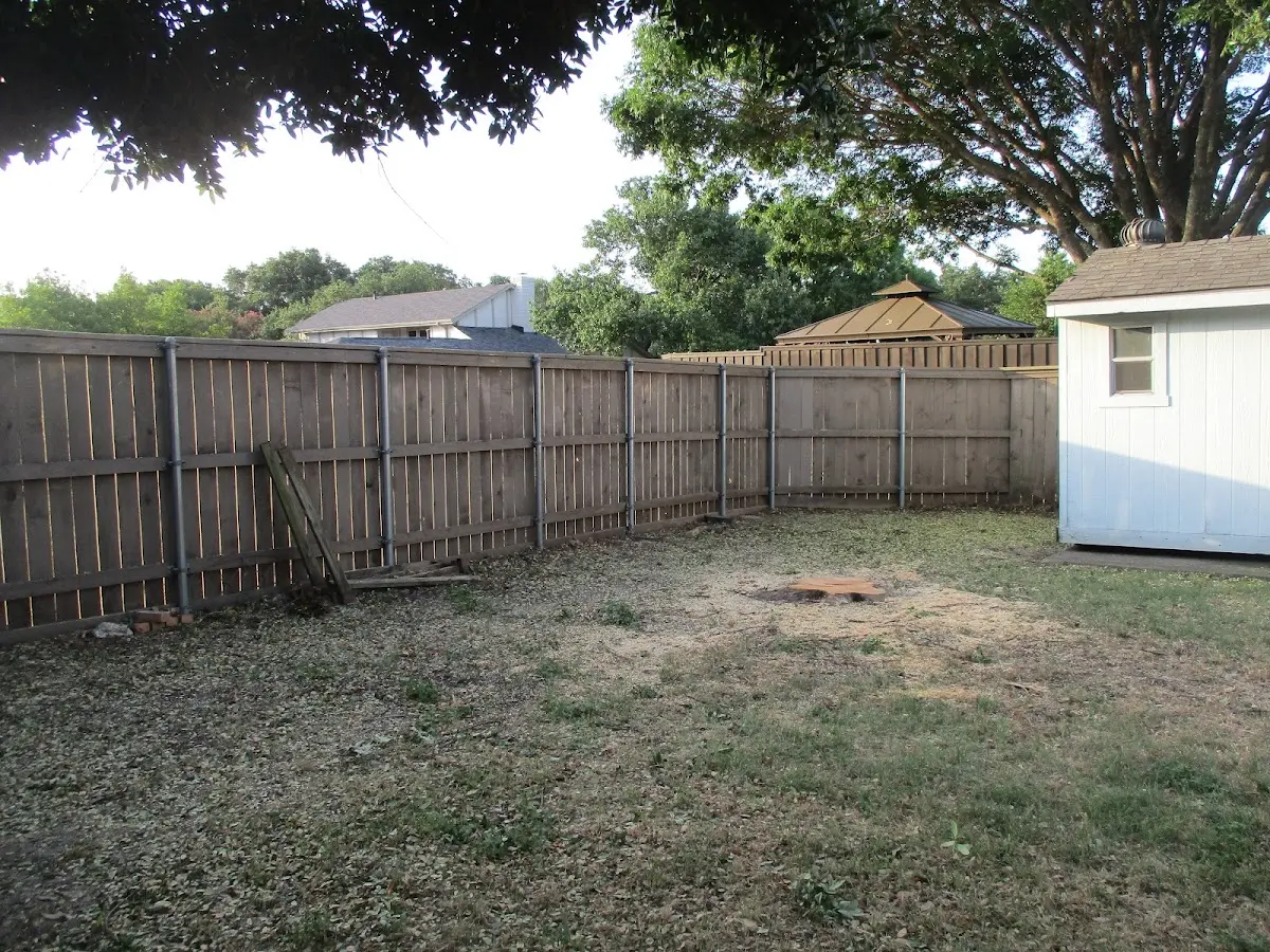 Cleared yard after professional tree removal in Linkwood